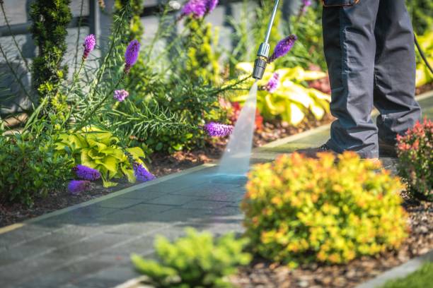 Best Dumpster Area Cleaning  in Central Heights Midland City, AZ